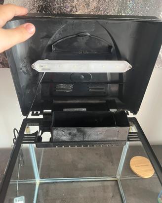 Acquario 16 litri billy