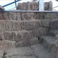 Balle di fieno rettangolari 