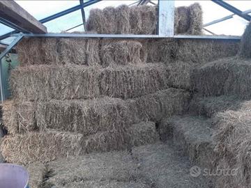 Balle di fieno rettangolari 