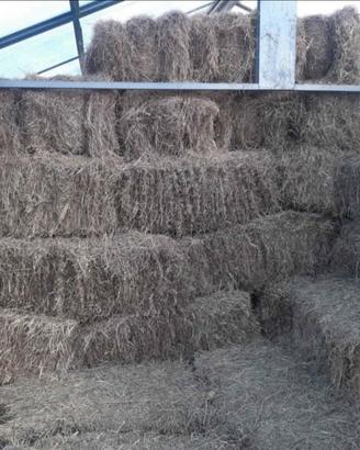 Balle di fieno rettangolari 