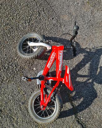 Bici da bimbo 2-4 anni ruote 12 pollici rosso