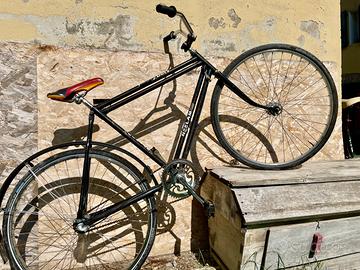 Bici vintage da città Neelam