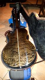 Chitarra Acustica Amplificata: