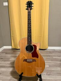 Gallinaro Grand Auditorium (Taylor Tribute)