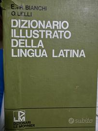 dizionario 