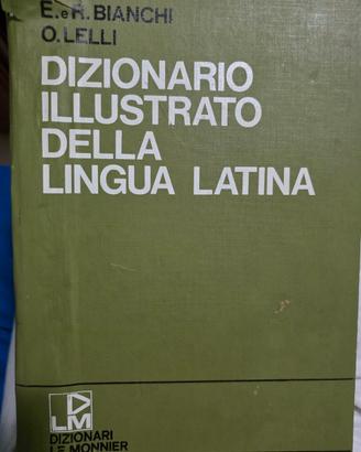 dizionario 