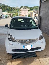 smart for two navi pelle 1.0