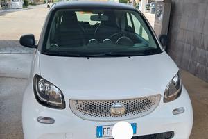 smart for two navi pelle 1.0