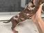 Immagine 4