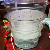 Vaporiera CLATRONIC DG 3235 800 watt 9lt