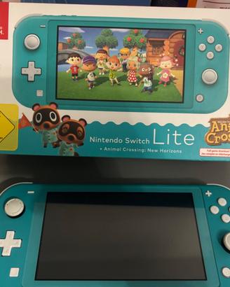 Nintendo switch lite