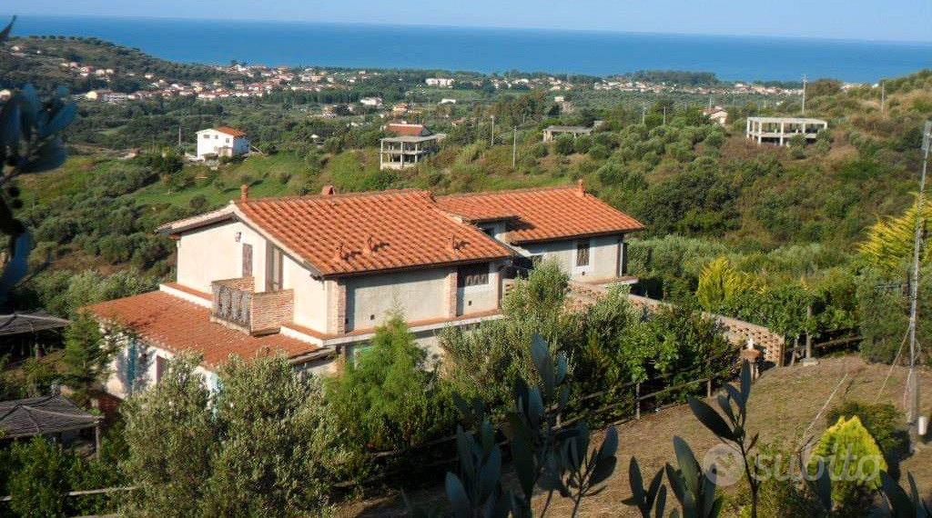 TERRENO AGRICOLO CON ULIVETO ASCEA - Altro