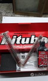 Kit forcella bitubo x9 250