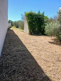 Terreno edificabile fronte strada
