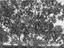Immagine 16