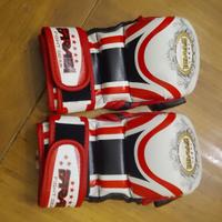 guantini mma