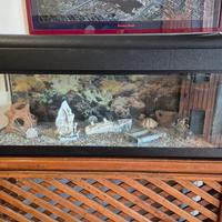 Acquario grande mondolife