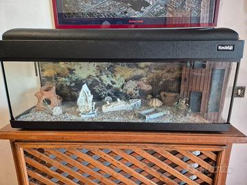 Acquario grande mondolife