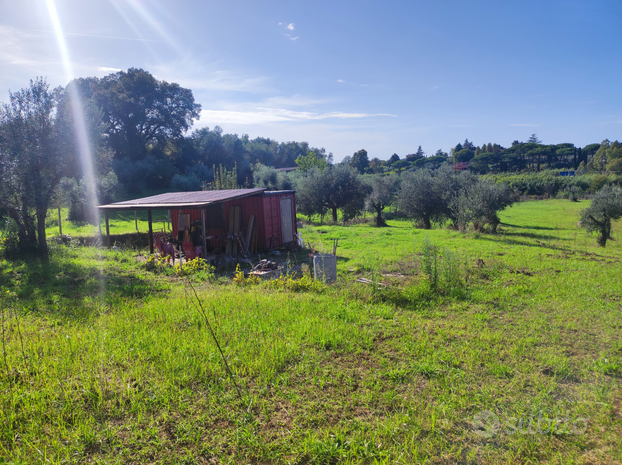 TERRENO AGRICOLO Lanuvio