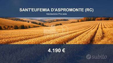 Immobile in asta di 12360 m² a Sant'Eufemia d'Aspr