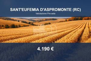 Immobile in asta di 12360 m² a Sant'Eufemia d'Aspr