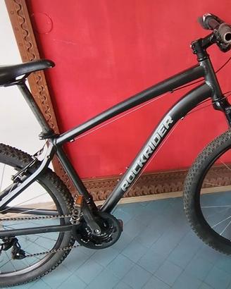 Mountain bike