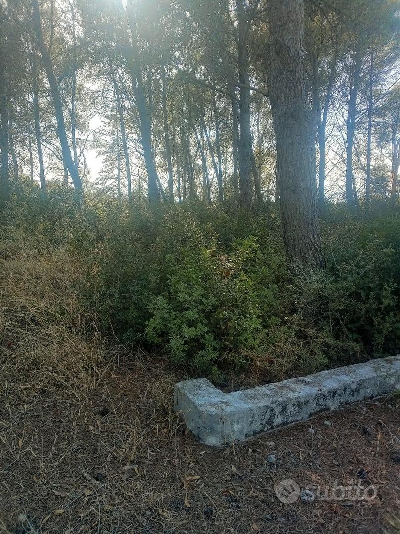 Vendita terreno - Vista 5