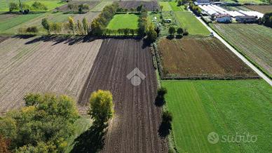 TER. AGRICOLO A TEZZE SUL BRENTA