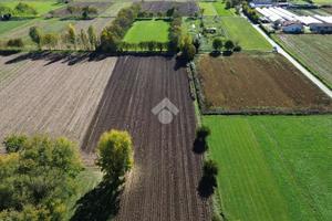 TER. AGRICOLO A TEZZE SUL BRENTA