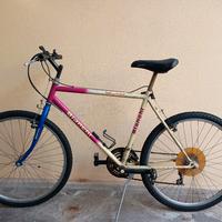 Bicicletta Mountain bike 