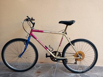 Bicicletta Mountain bike 