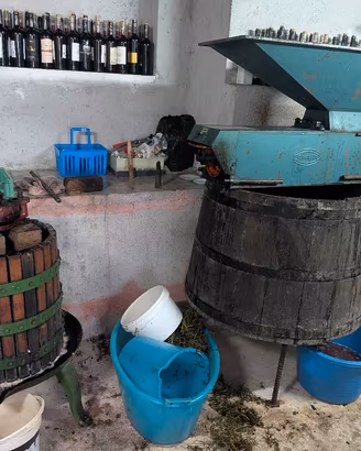kit vendemmia