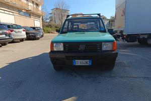 panda 1100 young