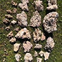 Rocce acquario marino