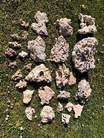 Rocce acquario marino