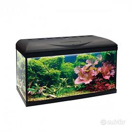 Acquario 80 litri Amtra con mobiletto, accessori