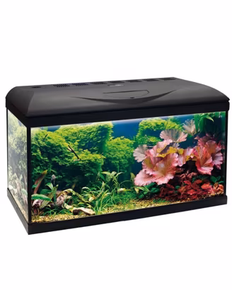 Acquario 80 litri Amtra con mobiletto, accessori