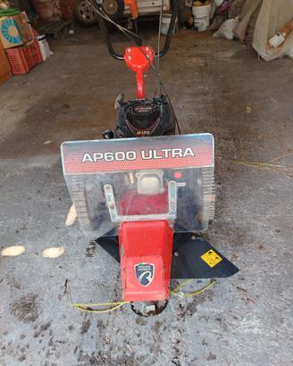 decespugliatore a trazione professionale 
