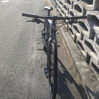 bici cicloturismo in carbonio