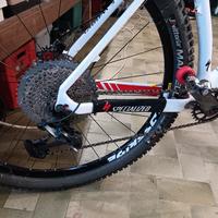 Mtb specialized S works 29"