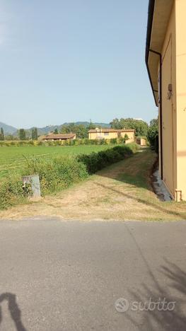 Terreno agricolo Pietrasanta via del Padule