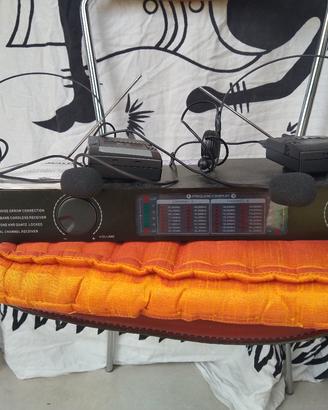 due microfoni wireless Master Audio