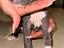 Immagine 1