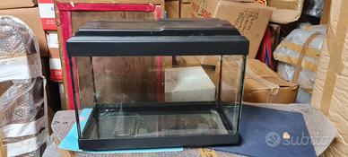 Acquario