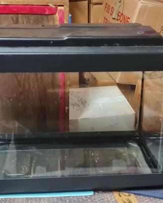 Acquario