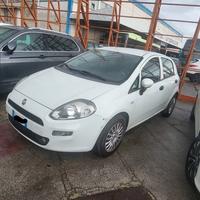 FIAT PUNTO EVO - AUTOCARRO