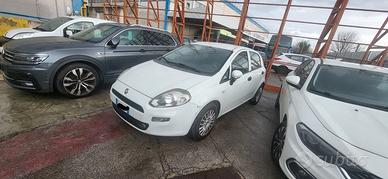 FIAT PUNTO EVO - AUTOCARRO
