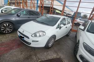 FIAT PUNTO EVO - AUTOCARRO