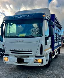 Eurocargo 60e15 trasporto animali vivi