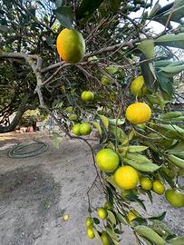 Appartamento al piano terra a Cabras